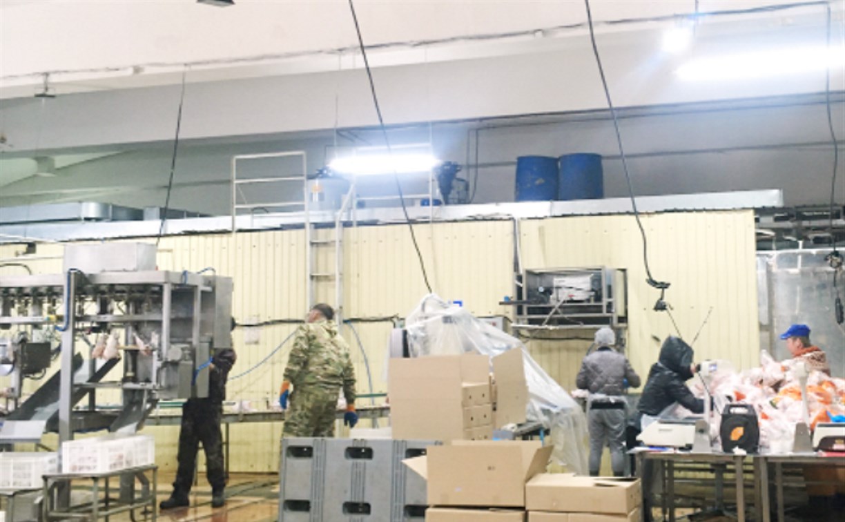 Работники убойного цеха птицефабрики "Островной" взбунтовались и остановили конвейер