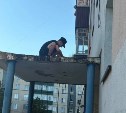 Два голубя прилипли к растаявшему битуму в Поронайске