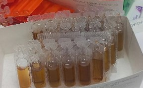 Происшествия