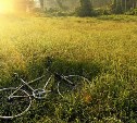 Расклейщик объявлений в Южно-Сахалинске украл дорогой велосипед из подъезда
