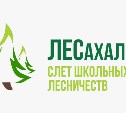 Школьные лесничества Сахалина соберутся на пятый областной слет