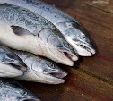 Жителям Северо-Курильска раздали 2,5 тонны лососей
