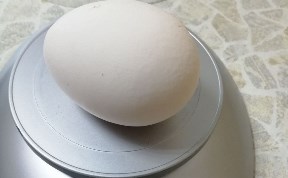 Общество