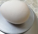 Курица снесла сахалинке к 8 Марта "золотое" яйцо