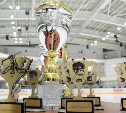 Победителем турнира «Кубок Арена-Сити» стали южно-сахалинские хоккеисты 