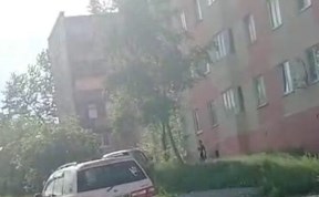 Происшествия