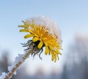 На Сахалине дожди и снегопады, а на Курилах до +14 °C: прогноз погоды для региона на 30 мая