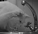Сотни южносахалинцев останутся без воды 13 апреля