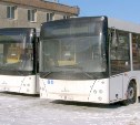 Невельчан будут возить новые автобусы