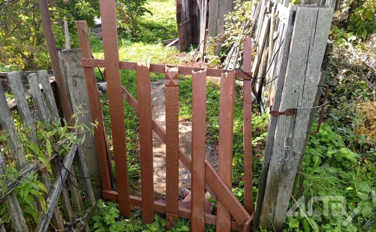 Медведица напакостила дачникам на Сахалине: сломала калитку и потоптала огород