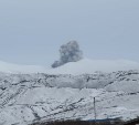 Облако пепла от вулкана двигается в сторону Северо-Курильска