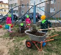 "Сад памяти" посадили южно-сахалинские дошкольники