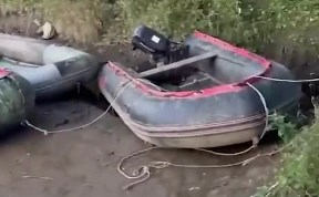 Происшествия