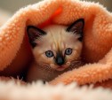 Без отопления в понедельник останутся детсады и дома в Южно-Сахалинске