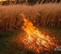 Высокую пожарную опасность объявили в Смирныховском районе