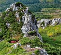 В Смирныховском районе на 21 день ввели запрет на посещение леса