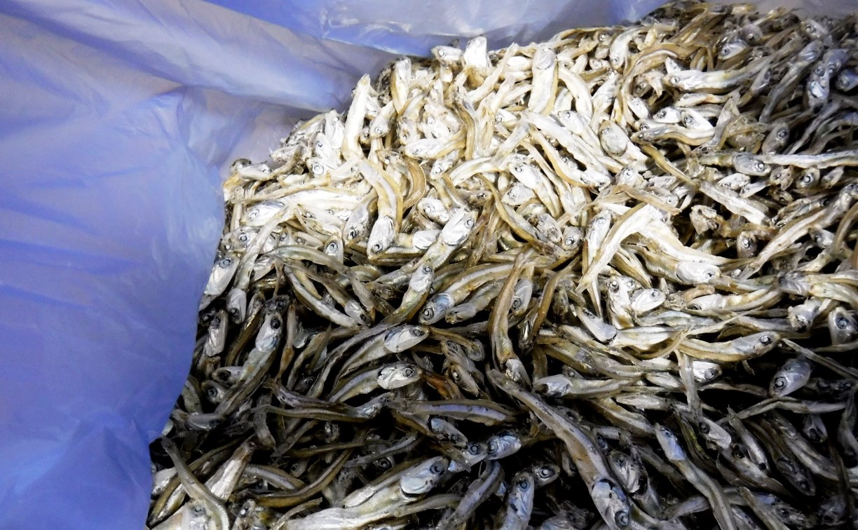 Южносахалинцы пытались провести из Сеула 80 килограммов морепродуктов