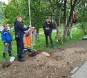 Новый остановочный павильон появится в Долинске
