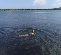 Купаться на Сахалине официально разрешили только в Яблочном, Пионерах и на Тунайче