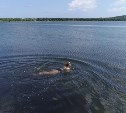 Купаться на Сахалине официально разрешили только в Яблочном, Пионерах и на Тунайче