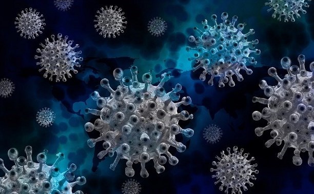 Туристы из Турции привезли на Сахалин более неприятный британский штамм коронавируса