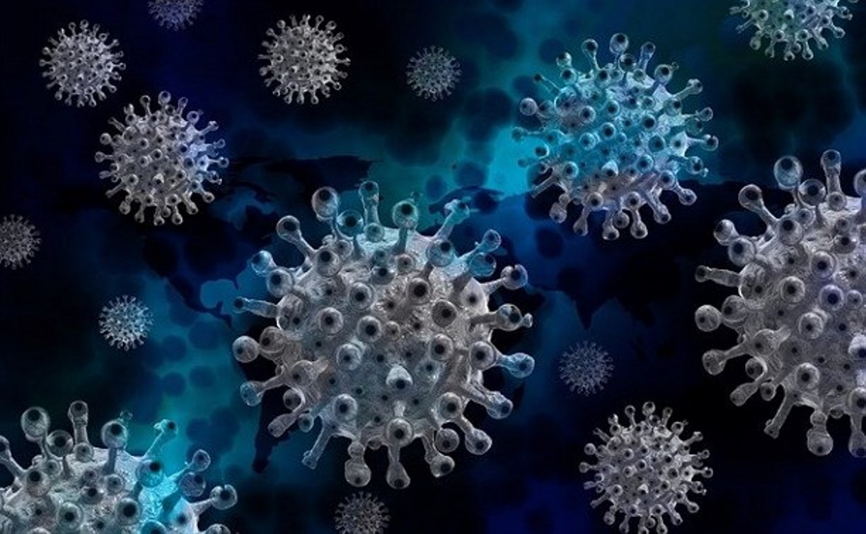 Туристы из Турции привезли на Сахалин более неприятный британский штамм коронавируса