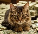 Гороскоп на 20 августа: финансовые дела Близнецов пойдут в гору, а Скорпиона ждёт день неожиданностей