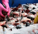 Жителям Ногликов раздали несколько тонн рыбьих голов 