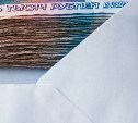 Незваный гость пришёл в квартиру сахалинки с ножом, а покинул - с конвертом в кармане
