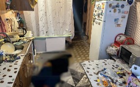 Происшествия