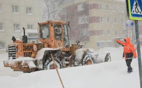 Общество