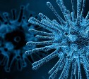 ВЦИОМ: 55% россиян боятся заразиться коронавирусом