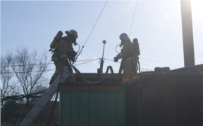 Общество