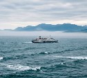 Сахалинский морской перевозчик оставил сотрудников без зарплаты и попал под пристальное внимание прокуратуры