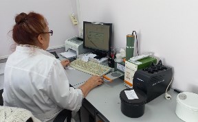 Общество