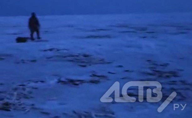 "Смотрите, что творится": сахалинцы распространяют видео усыпанного навагой льда