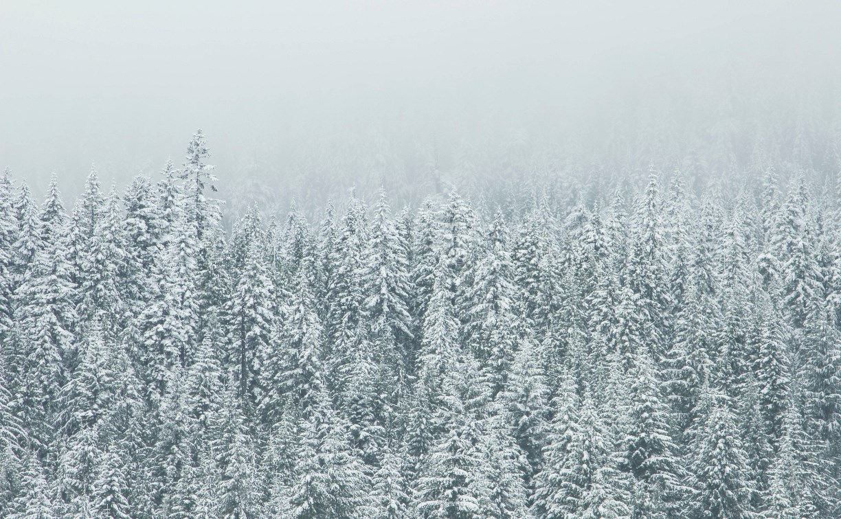 Сильные осадки и снежный накат на дорогах: чего ждать от погоды на Сахалине 1 декабря