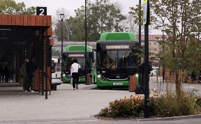 Общество