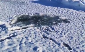 Происшествия