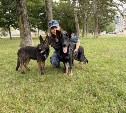 Немецкие овчарки Награда и Орнелла прибыли на Сахалин, чтобы нести службу