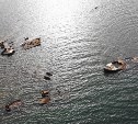 До конца 2025 года на Сахалине ликвидируют два затонувших судна
