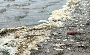 Общество