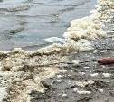 Подозрительные пятна заметили в акватории Кайгана в Ногликском районе