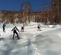 Супруги-лыжники стали лучшими на областном чемпионате