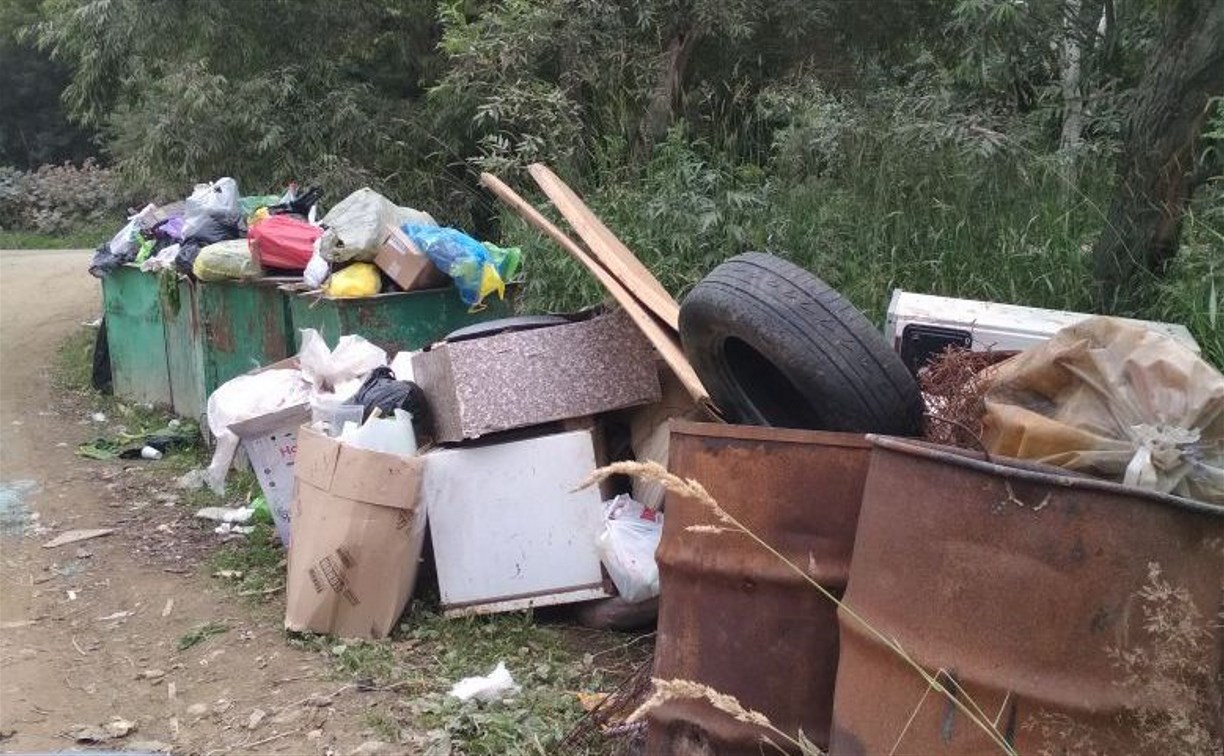 На портале Сахалин.онлайн пользователи чаще всего жалуются на мусор