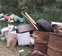 На портале Сахалин.онлайн пользователи чаще всего жалуются на мусор