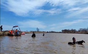 Общество