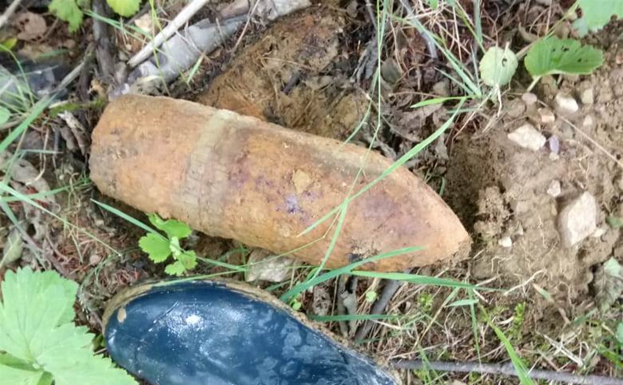 В лесу в районе Хомутово сахалинец нашел снаряд