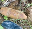 В лесу в районе Хомутово сахалинец нашел снаряд