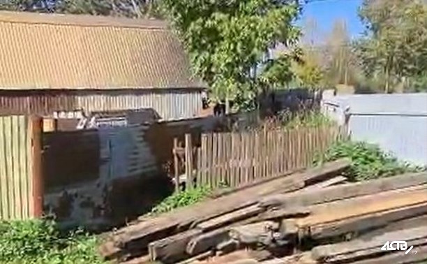 Соседские войны: в Южно-Сахалинске разгорается конфликт между жильцами многоэтажки и частного дома